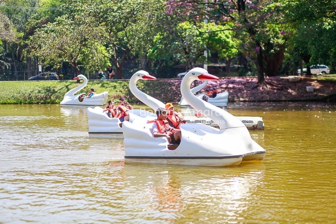 Casa em Condomínio à Venda - Parque Brasil 500 em Paulínia / SP