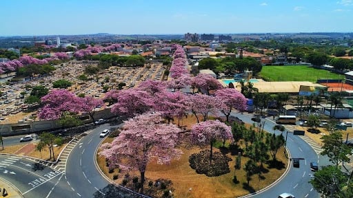 A Transformação de Betel: Do Setor Industrial ao Novo Eixo de Lazer e Moradia - Betel vive uma fase de transformação urbana em Paulínia, dei...