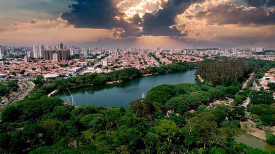 Taquaral Além da Lagoa: O Charme de Viver em um dos Bairros mais Tradicionais de Campinas