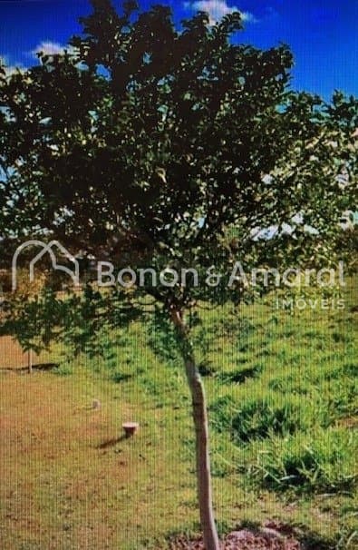 Terreno em condomínio à Venda - Loteamento Residencial Entre Verdes (sousas) em Campinas / SP