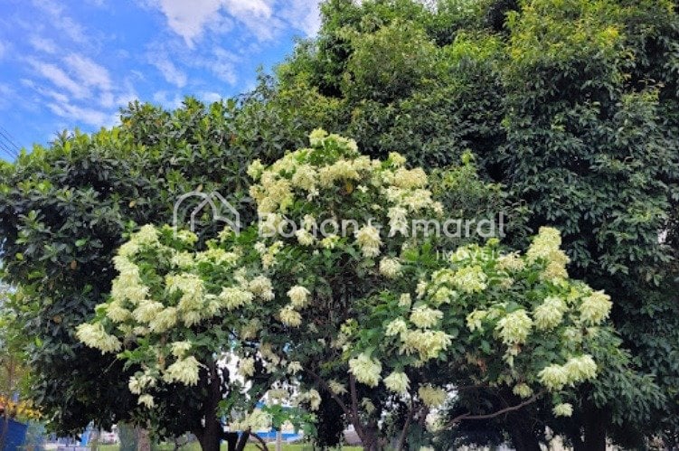 Terreno em condomínio à Venda - Jardim Fortaleza em Paulínia / SP