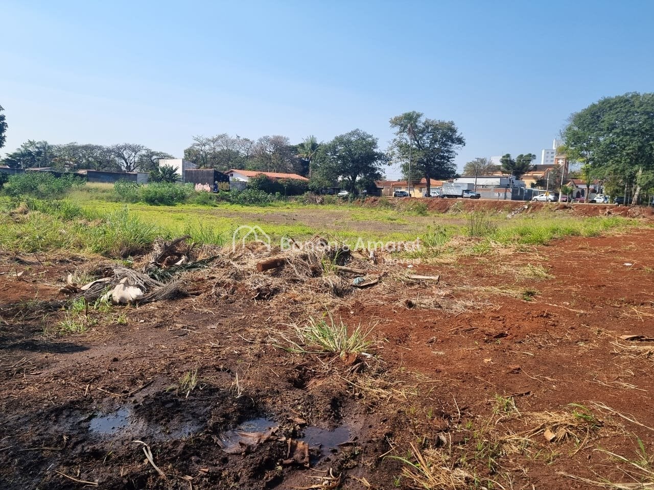 Terreno Comercial, Arruamento Luiz Vicentin, Campinas/SP