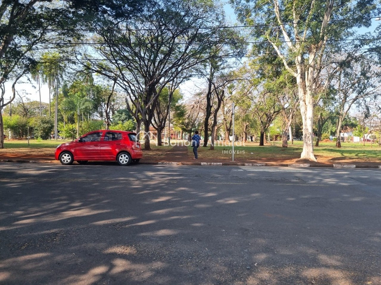 Terreno Comercial, Arruamento Luiz Vicentin, Campinas/SP