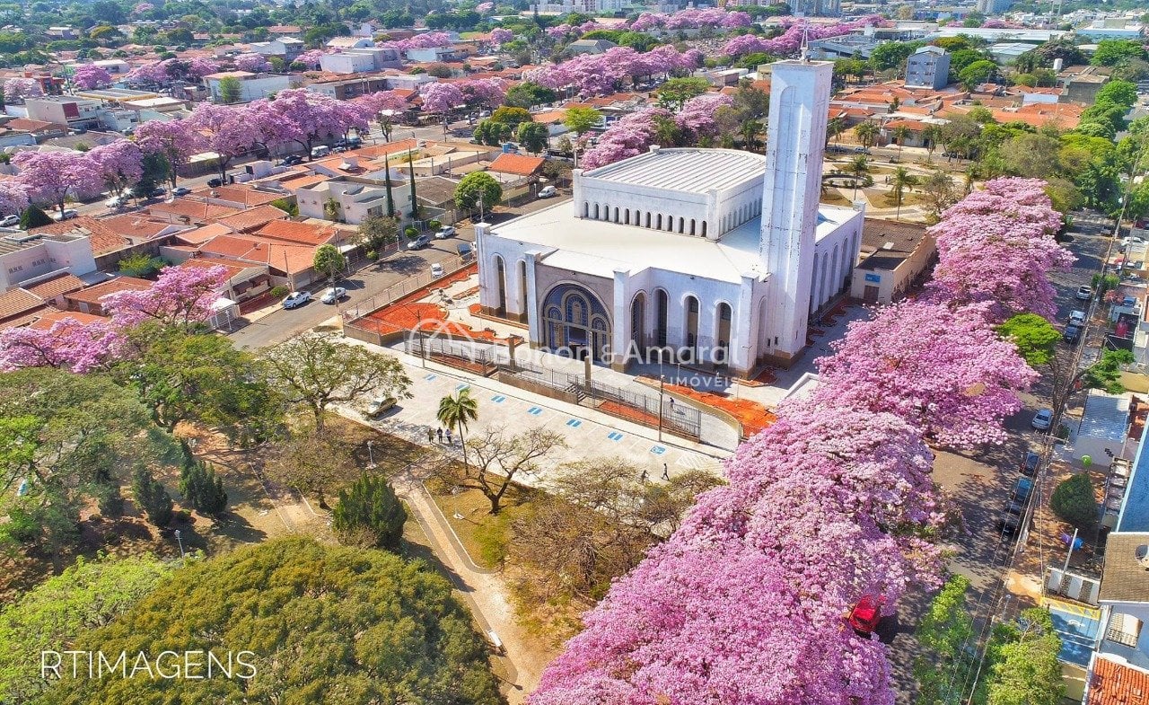 Salas/Conjuntos para Alugar - Parque Brasil 500 em Paulínia / SP