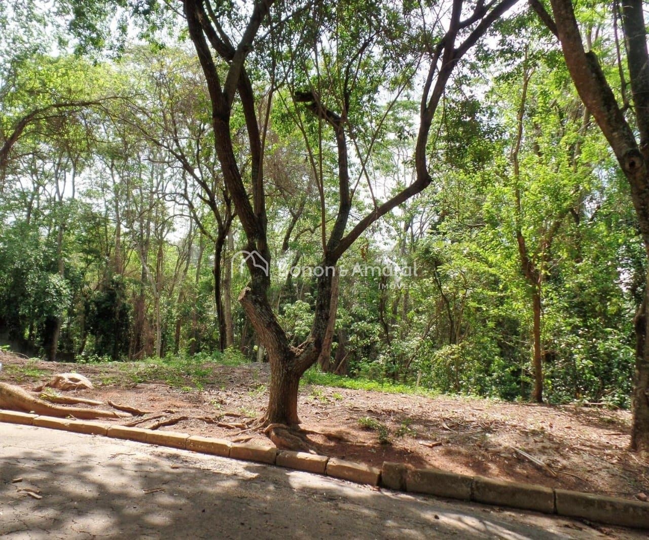 Terreno em condomínio à Venda - Loteamento Caminhos De San Conrado em Campinas / SP