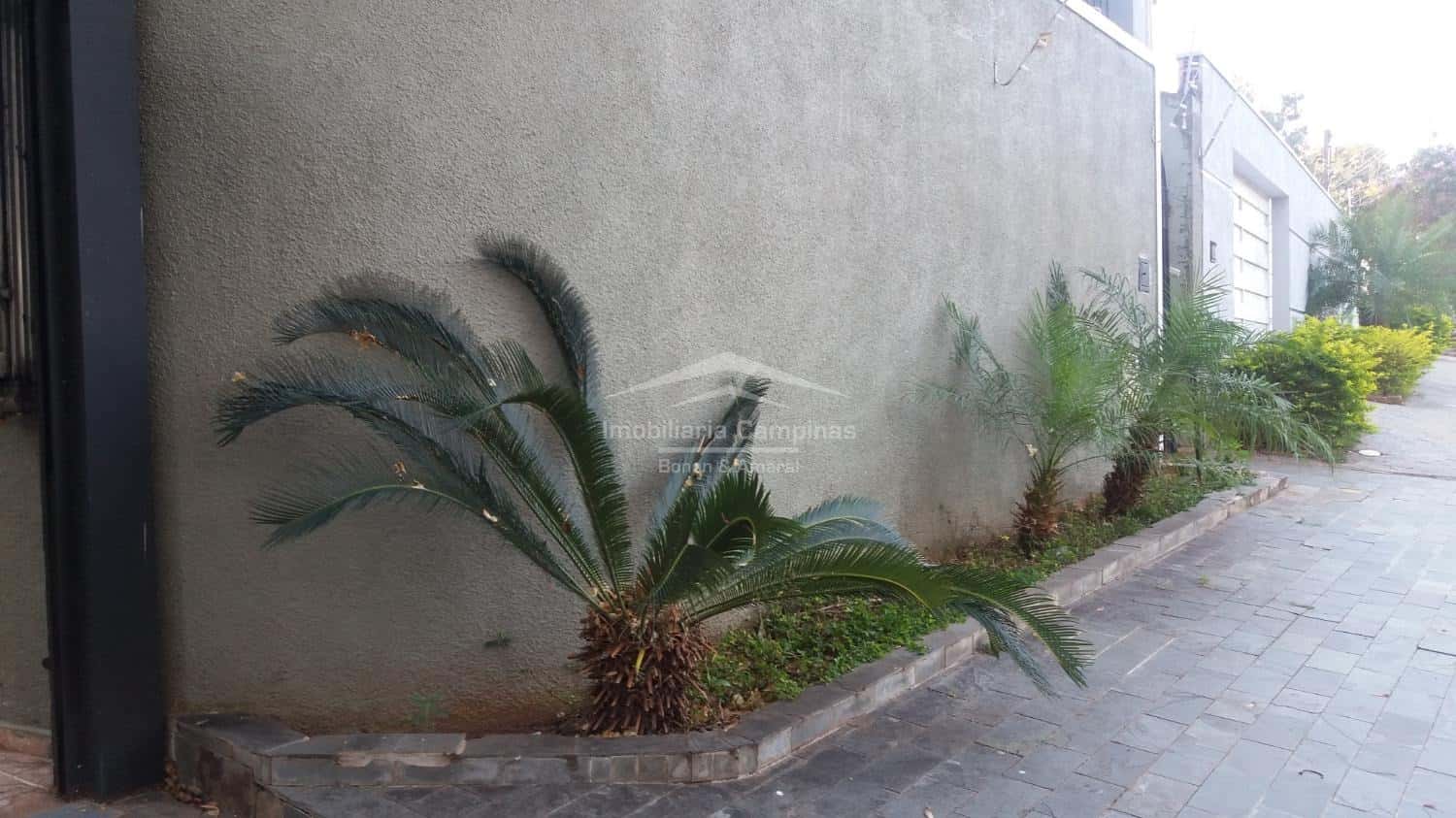 Casa à Venda - Parque São Quirino, Campinas/ SP — foto principal